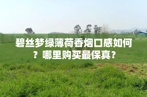 碧丝梦绿薄荷香烟口感如何？哪里购买最保真？